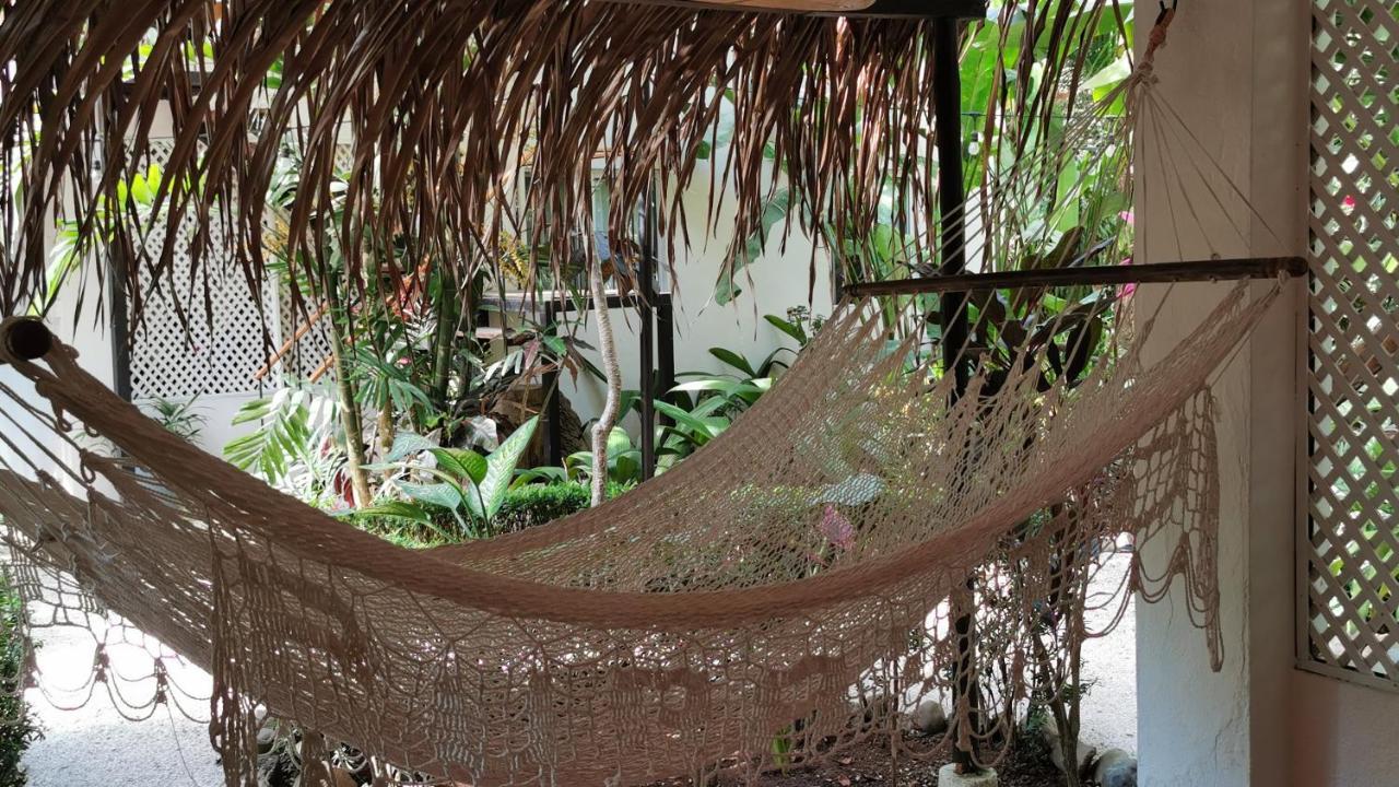 Colibri Apartments - 4 Min Walk To The Beach! Playa Santa Teresa  Exterior photo