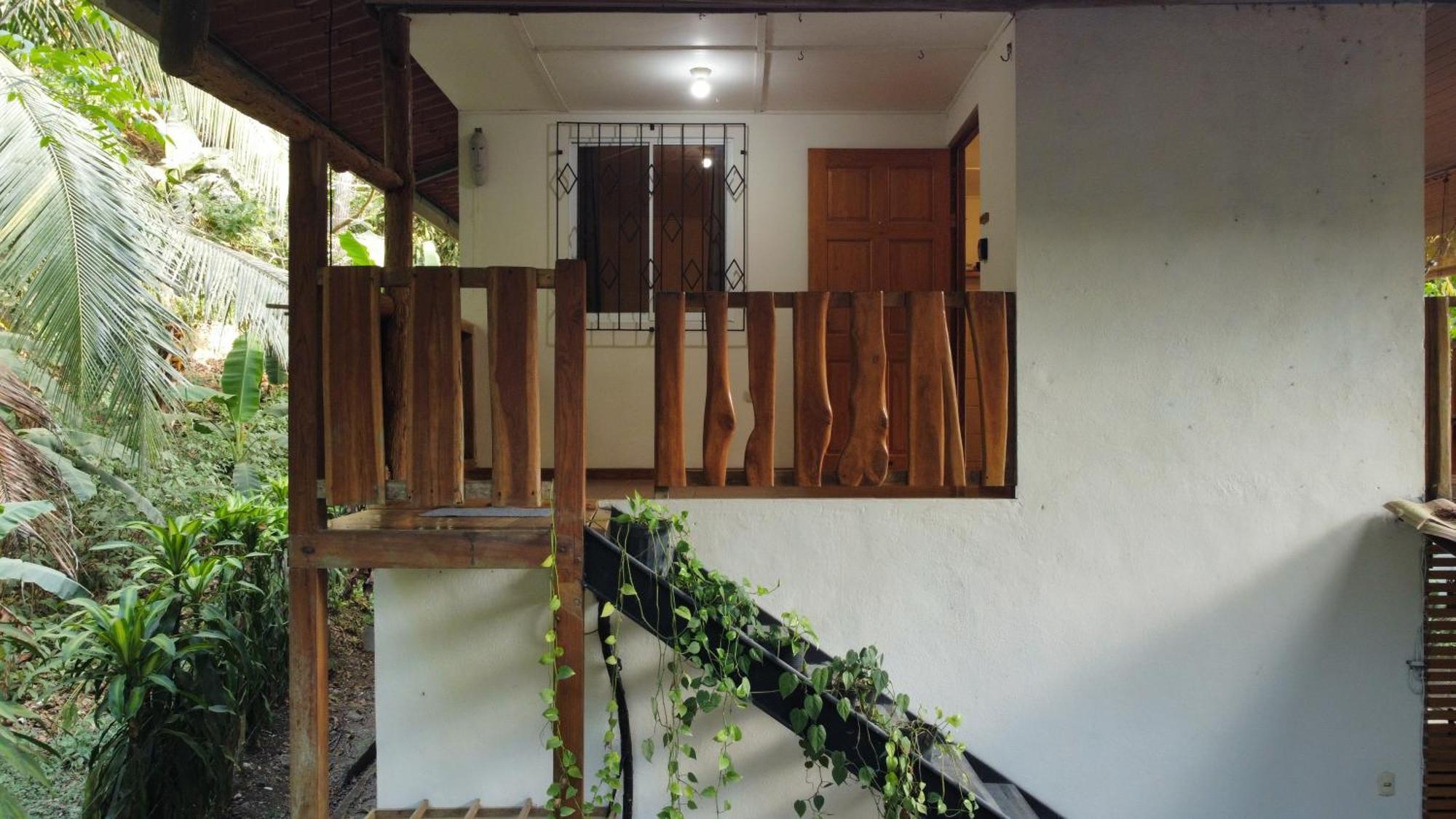 Colibri Apartments - 4 Min Walk To The Beach! Playa Santa Teresa  Room photo