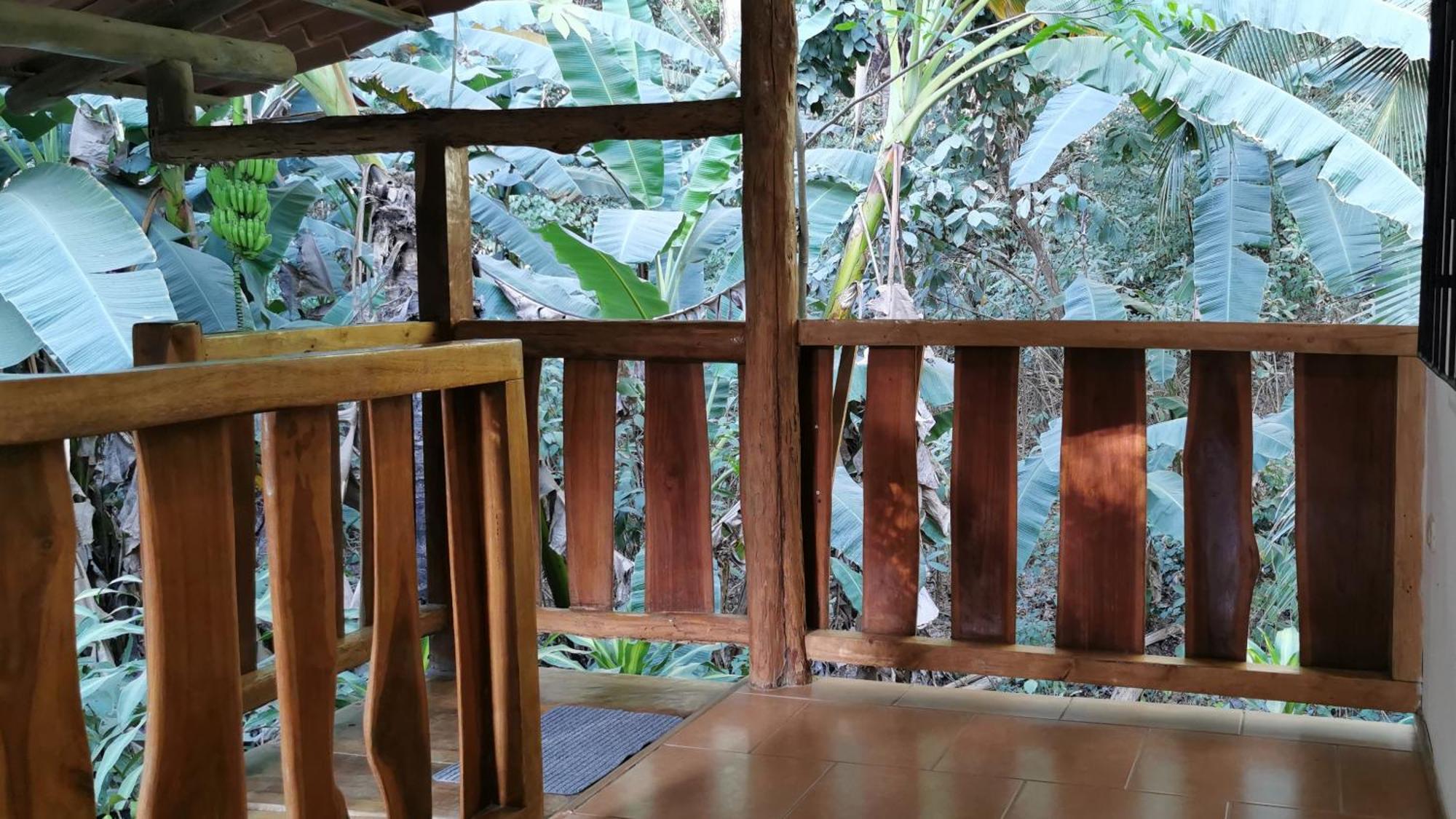 Colibri Apartments - 4 Min Walk To The Beach! Playa Santa Teresa  Room photo