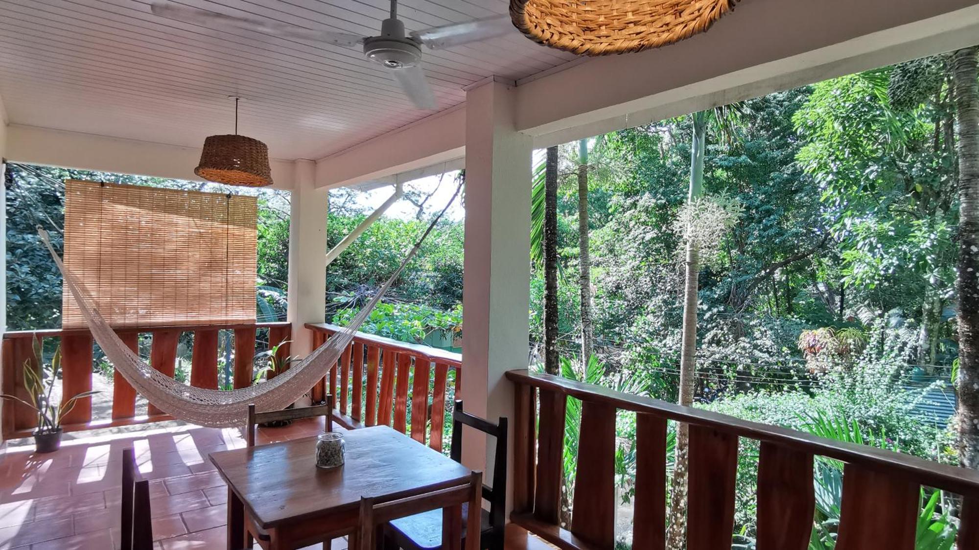 Colibri Apartments - 4 Min Walk To The Beach! Playa Santa Teresa  Room photo
