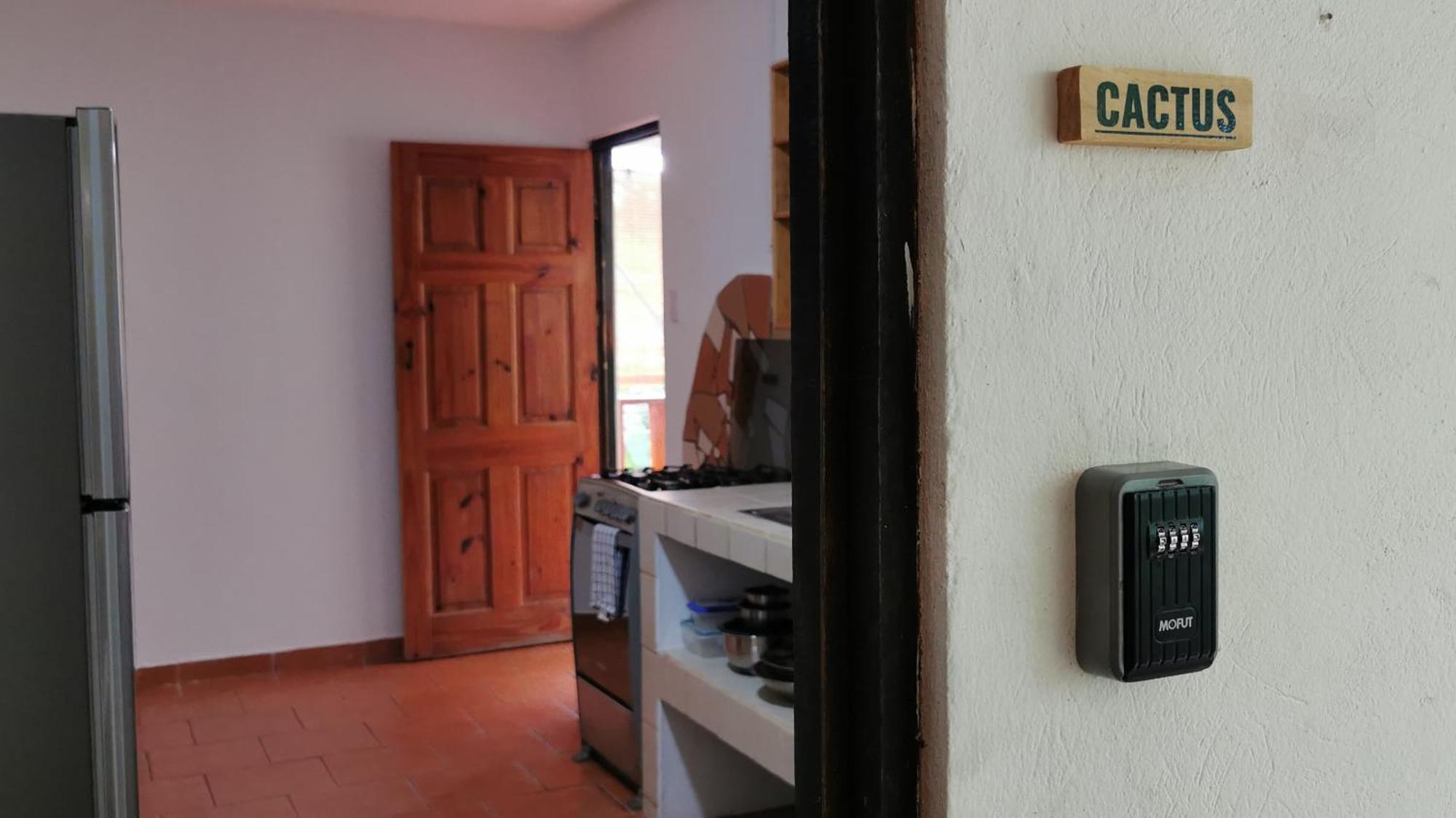 Colibri Apartments - 4 Min Walk To The Beach! Playa Santa Teresa  Room photo