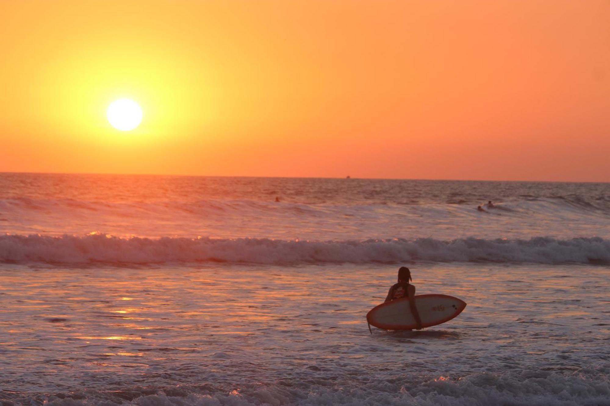 Colibri Apartments - 4 Min Walk To The Beach! Playa Santa Teresa  Exterior photo